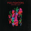 Cover Wasting Light