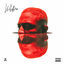 Cover Wildfire
