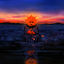 Cover SOLSAD