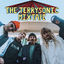 Cover The TerrySonic Mixtape
