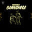 Cover Burushaga