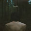 Cover trees talk