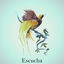 Cover Escucha