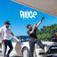 Cover Pince