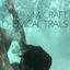 Cover Chemical Trails