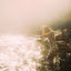 Cover Ocean