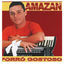 Cover Forró Gostoso