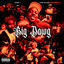 Cover Big Dawg (feat. Mari Ruger)