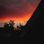 Cover Say Goodbye