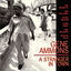 Cover A Stranger In Town