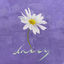 Cover WE:TH
