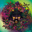Cover Lush Linguistic