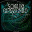 Cover Somatic Experience