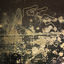 Cover Dirty Dog