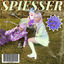 Cover Spießer