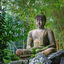 Cover Buddha Garden