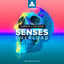 Cover Senses Overload