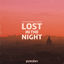 Cover Lost In The Night