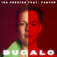Cover Budalo