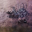 Cover Lost at Sea