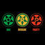 Cover Oai Reggae Party