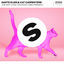 Cover The Way I Love You (feat. Cimo Fränkel)