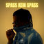 Cover Spass kein Spass
