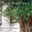 Cover Olive Tree