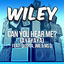 Cover Can You Hear Me? (ayayaya) [feat. Skepta, JME & Ms D]