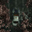 Cover BLOSSOM