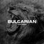 Cover Bulgarian (Trap Remix)