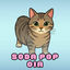 Cover Soda Pop Oia