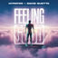 Cover Feeling Good