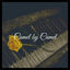 Cover Camel by Camel (Zone Ankha) (Extended Instrumental Version)