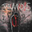 Cover TRAUMADOS