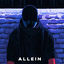 Cover Allein