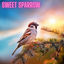 Cover Sweet Sparrow