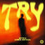 Cover Try