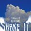 Cover Shake It