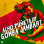 Cover Acho Puñeta