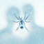 Cover The Spider