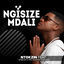 Cover Ngisize Mdali