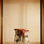 Cover Fleurs