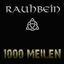 Cover 1000 Meilen