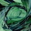 Cover Evergreen Fields