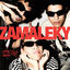 Cover Zamaleky