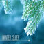 Cover Winter Sleep - Sleepy Music to Relax With Nature Sleepy Sounds & Relax Melodies