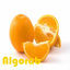 Cover Algorab