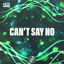 Cover Can't Say No