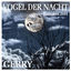 Cover Vogel der Nacht (2011Er Remakes)